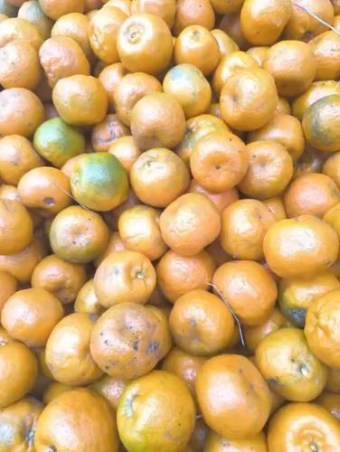 Fresh Orange Fruit