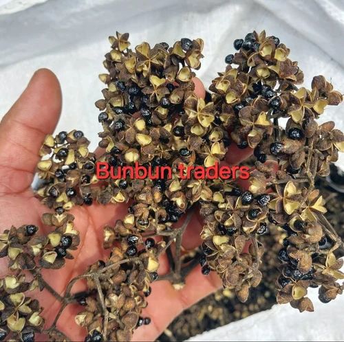 Sichuan Pepper Suppliers, Black, Seed Presence: With Seed