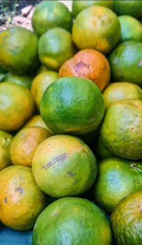 Assam Fresh Oranges