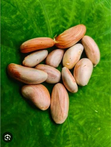 Hulled Jackfruit Seeds