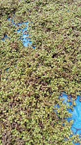 Sichuan Pepper, 25 kg