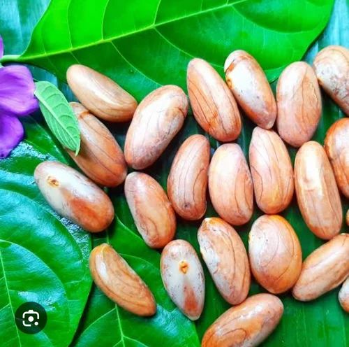 Dried Jackfruit Seeds