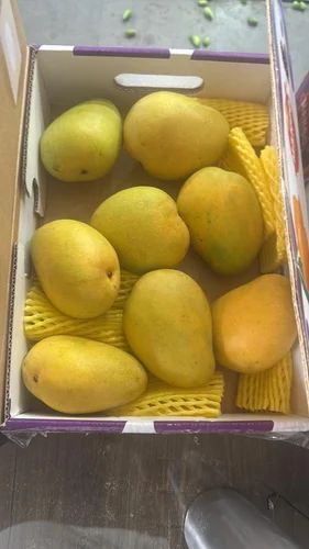 Fresh Banganapalli Mango