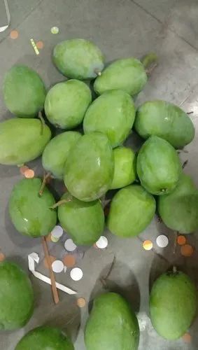 Raw Rajpuri Mango