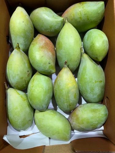 Totapuri Raw Mango