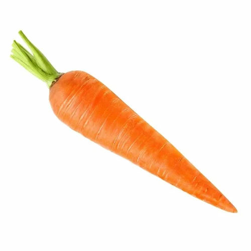 A Grade Fresh Organic Carrot