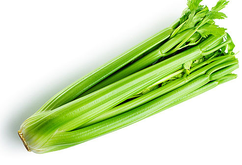 Organic Celery