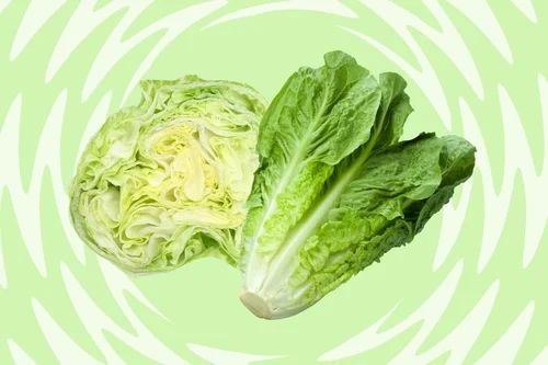 Iceberg Lettuce Exotic Vegetable (Green Pesticide Free)