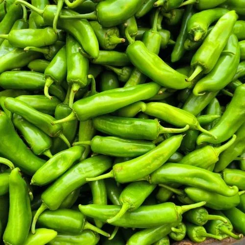 Chilli Corno DI Torro Exotic Vegetable Seeds, Packaging Size: 1 kg