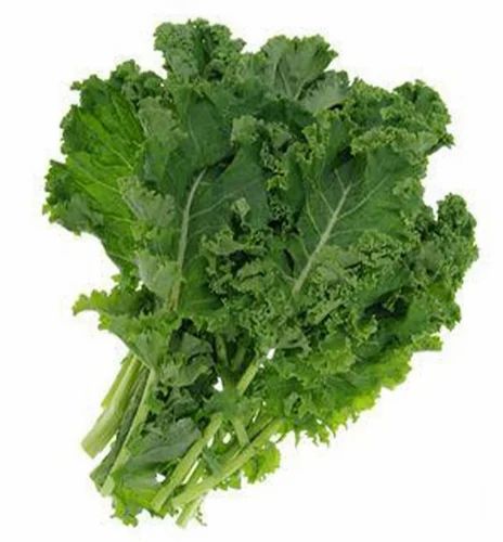 A Grade Green Fresh Kale Leaf