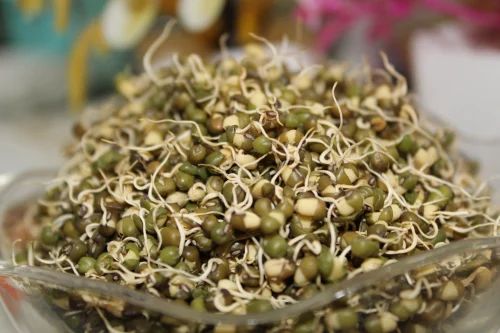 Dehydrated Moong Sprouts