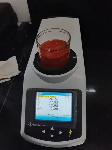 Tomato Paste 28/30 Brix