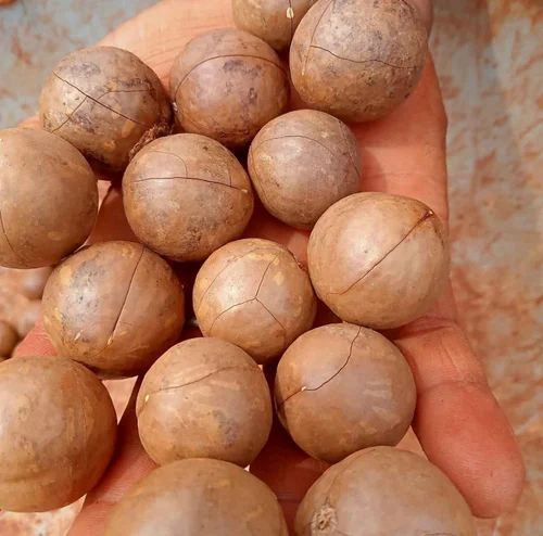 Whole Macadamia Nuts, Packaging Size: 8*12 Inch