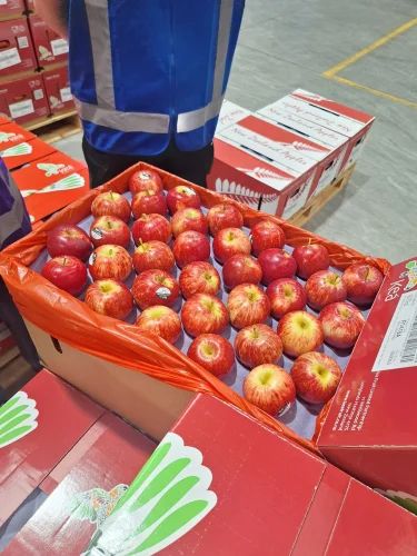 Irani Apple
