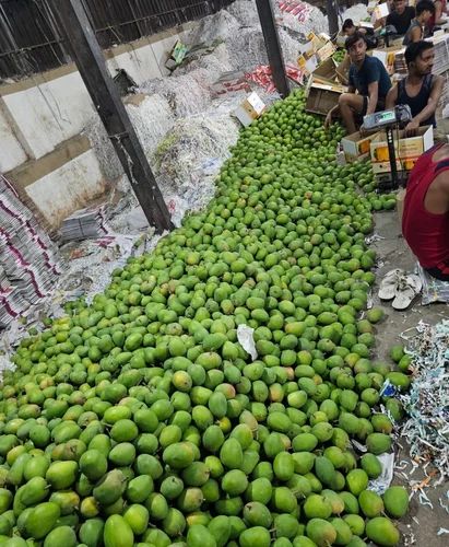 Alphonso Mangoes