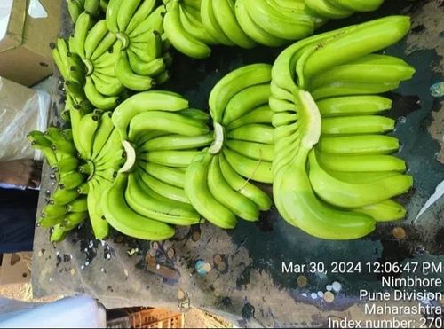 G9 Cavendish Bananas, Packaging Size: 13 kg