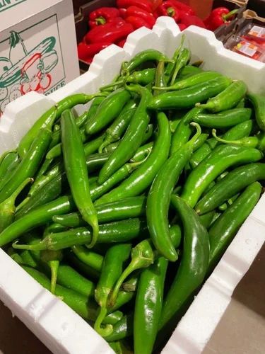 G4 Fresh Green Chilli, 50 kg