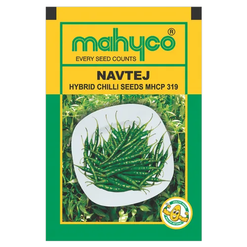 Hybrid Dark Green Mahyco Navtej Chilli, Packaging Type: Packet, Packaging Size: 10 Grams