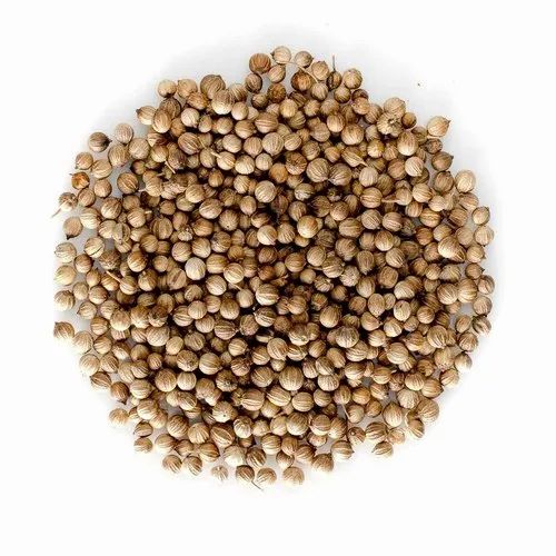Hybrid Brown Coriander op and hybreed seeds, For Showing, Packaging Size: 500 Gram