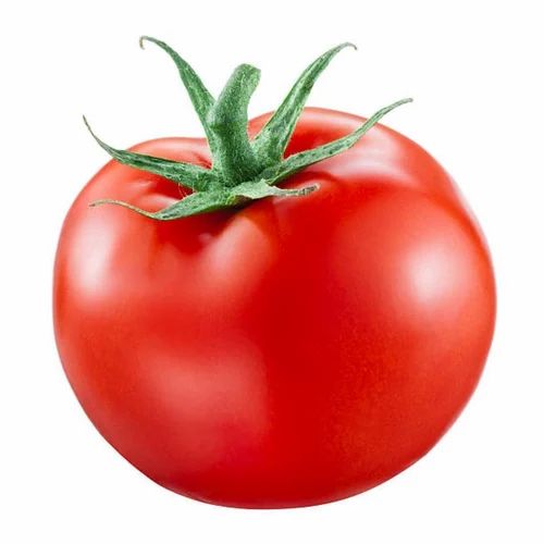 Fresh Organic Tomato