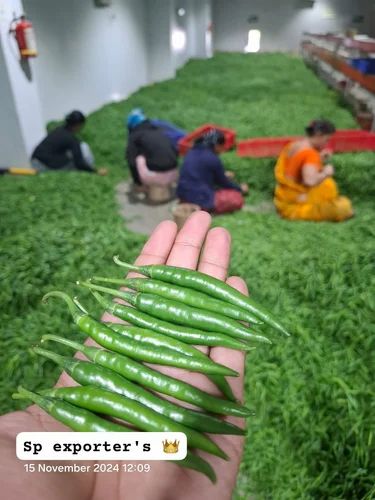 A Grade Chilli, Pan India