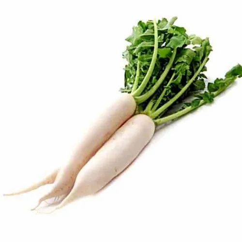 Organic Radish, Packaging Size: 20 Kg, Pesticide Free (for Raw Products)