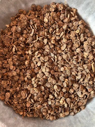 Organic Kumatiya Dried Vegetable