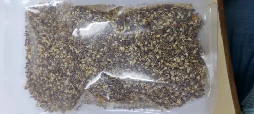 Dehydrated Sprouted Matki, Pan India