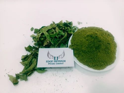 Dehydrated Curry Leaves, HDPE Bag, Packaging Size: 25 kg