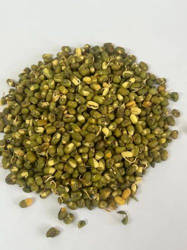Dehydrated Sprouted Green Moong, Packag in g Size: 1 Kg, High in Prote in