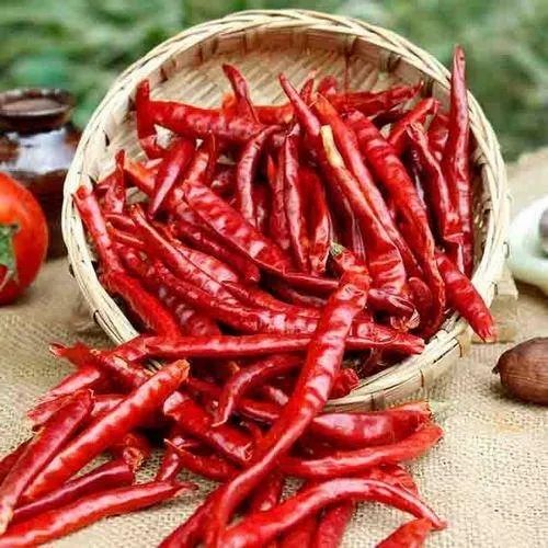 Guntur Dry Red Chilli, Whole with Stem