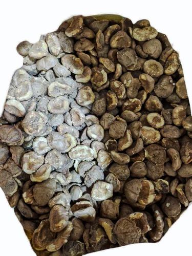 Singhara Dry Singhada Sookha Singhara Sukha Water Chestnut Trapa Bispinosa Raw Herbs