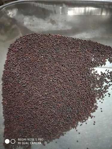 Brown Mustard Seeds, Packaging Size: 30 kg