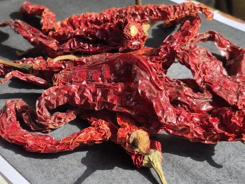 Byadgi Chilli, Whole Dried