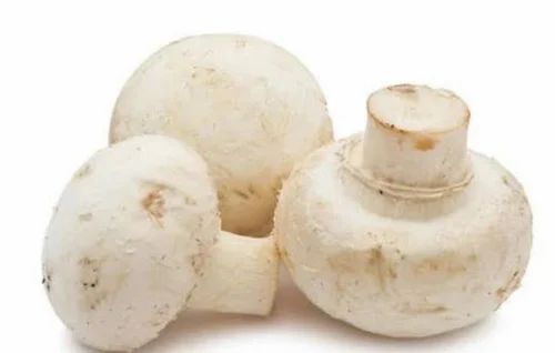 Fresh Button Mushroom, Packaging Type: Tray