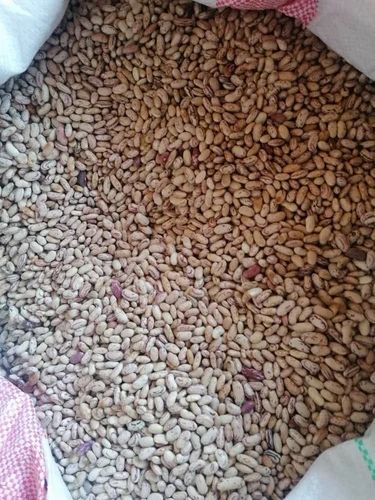 NON-GMO Red Speckled (Sugar Beans) For Sale, Packaging Size: 50 kg, White