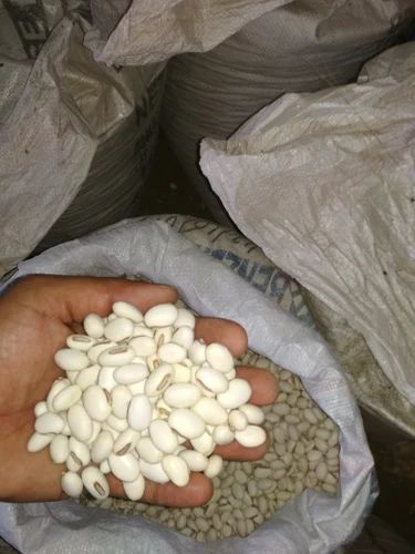 Beans