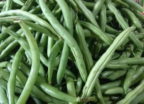 Beans