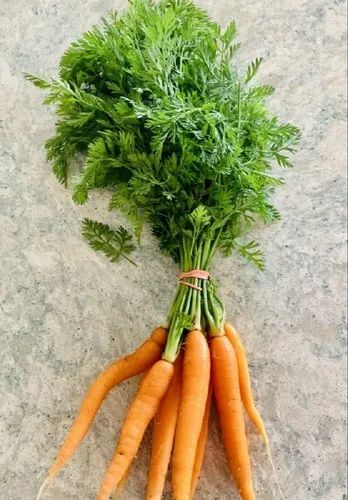 Fresh Baby Carrot