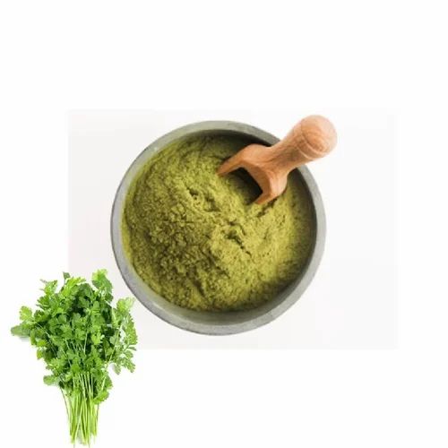 Dehydrated Coriander Leaves Powder (Sun Dried, Stem and Leaf) - 25 kg