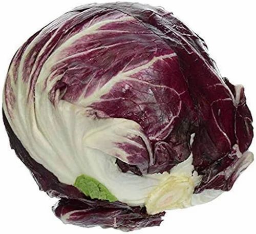 Purple Organic Lettuce Redichio
