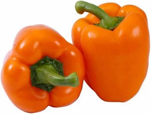 A Grade Orange Organic Capsicum