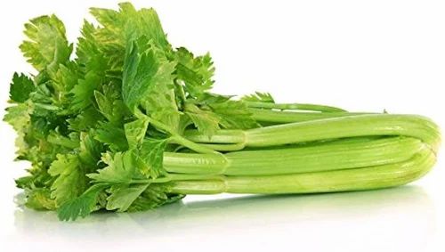 Green Organic Celery