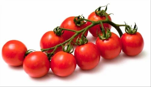 A Grade Red Organic Cherry Tomato