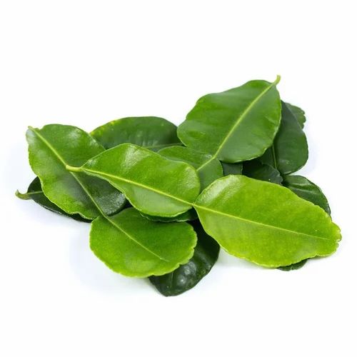 Kaffir Lemon Leaf