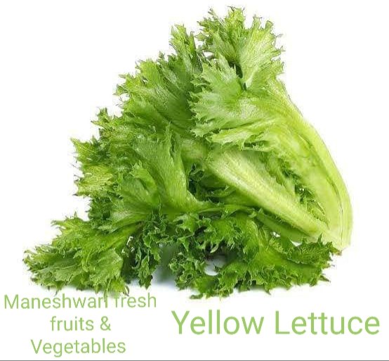 Fresh Green Lettuce