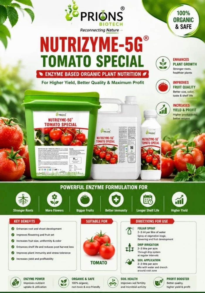 Tomato plants fertilizer