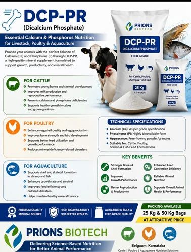 Dicalcium Phosphate Feed Grade Dcp
