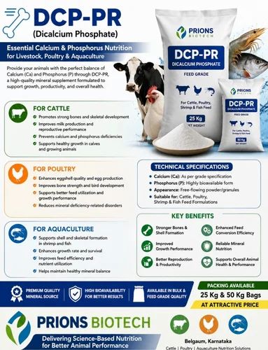 Dicalcium Phosphate Feed Grade