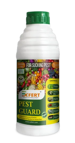 Pest Guard Organic Pesticide, For Agriculture, Target Crops: Vegetables And Fruits